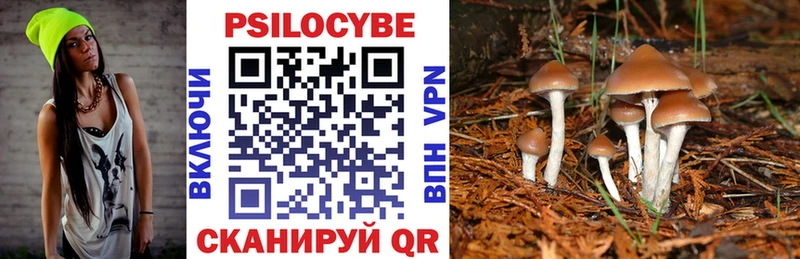 Галлюциногенные грибы Magic Shrooms  Купить закладки  Туймазы 